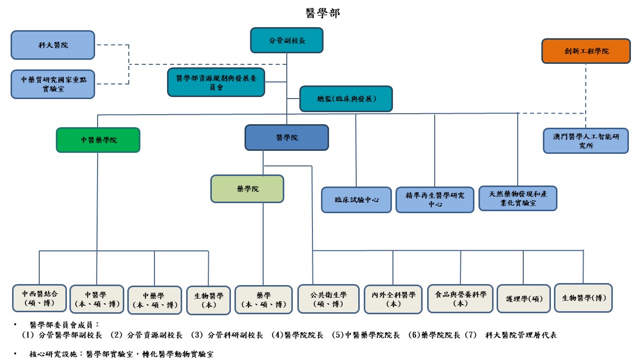 msd structure